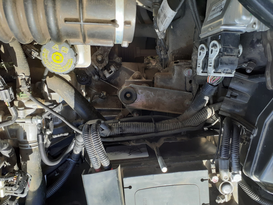 Фото в бортжурнале Lada Vesta SW Cross (1G)