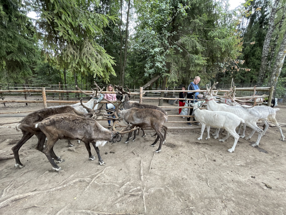 Фото в бортжурнале Cadillac Escalade (3G)