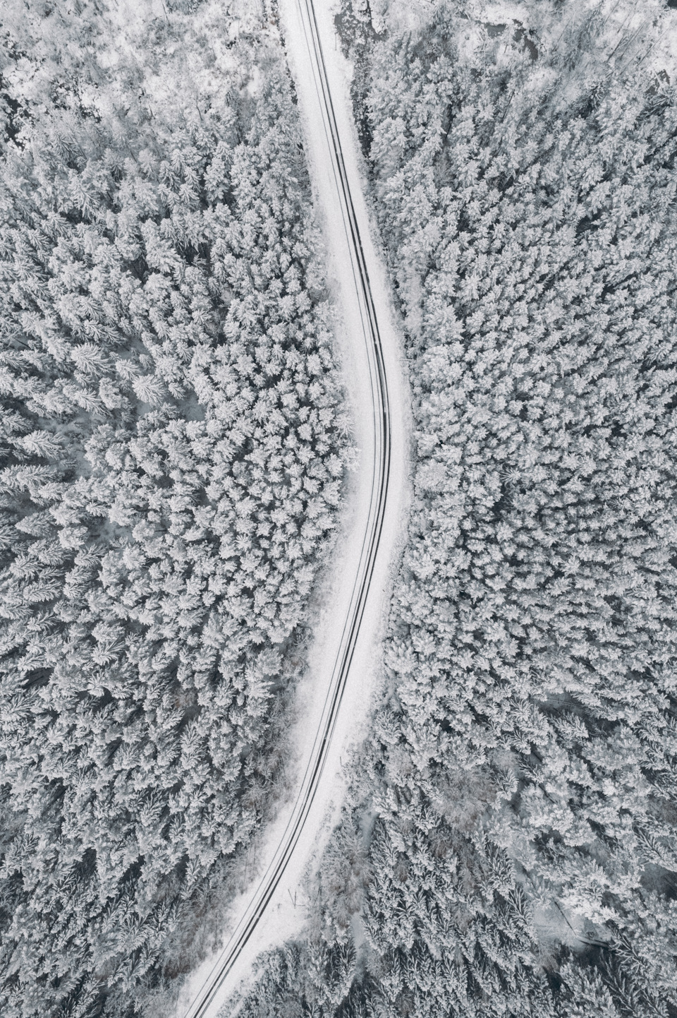 Фото в бортжурнале KIA Sorento (4G)