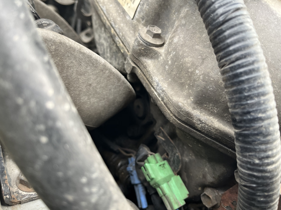 Масло на движке и ролик натяжителя — Suzuki SX4 (1G), 1,6 л, 2007 года ...