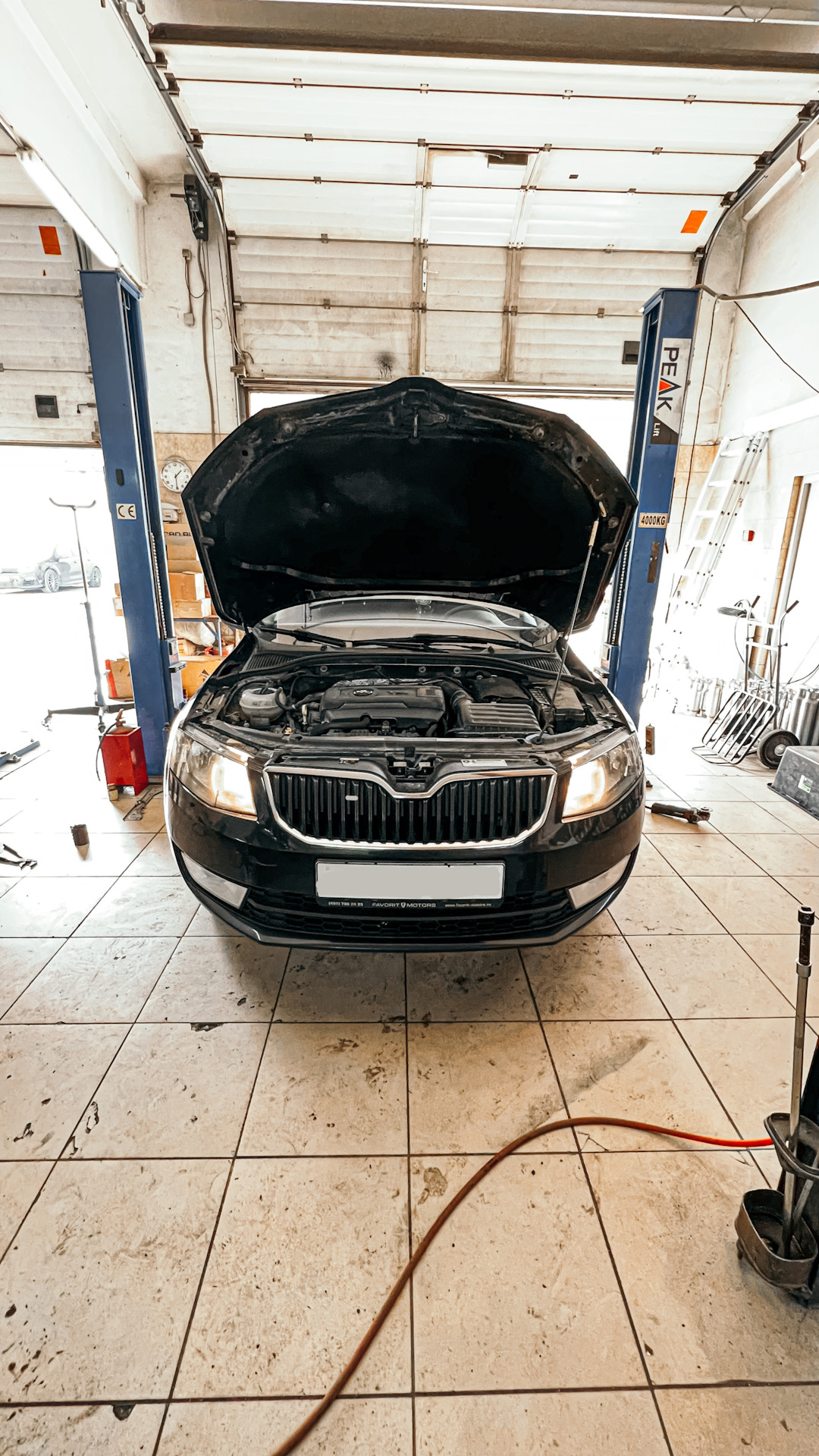 Skoda Octavia (Шкода Октавия) 2016 года с двигателем 1.8 / Удаление ...