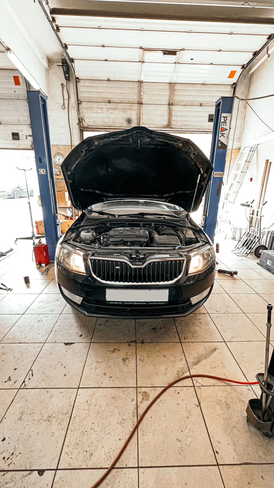 Skoda Octavia (Шкода Октавия) 2016 года с двигателем 1.8 / Удаление ...