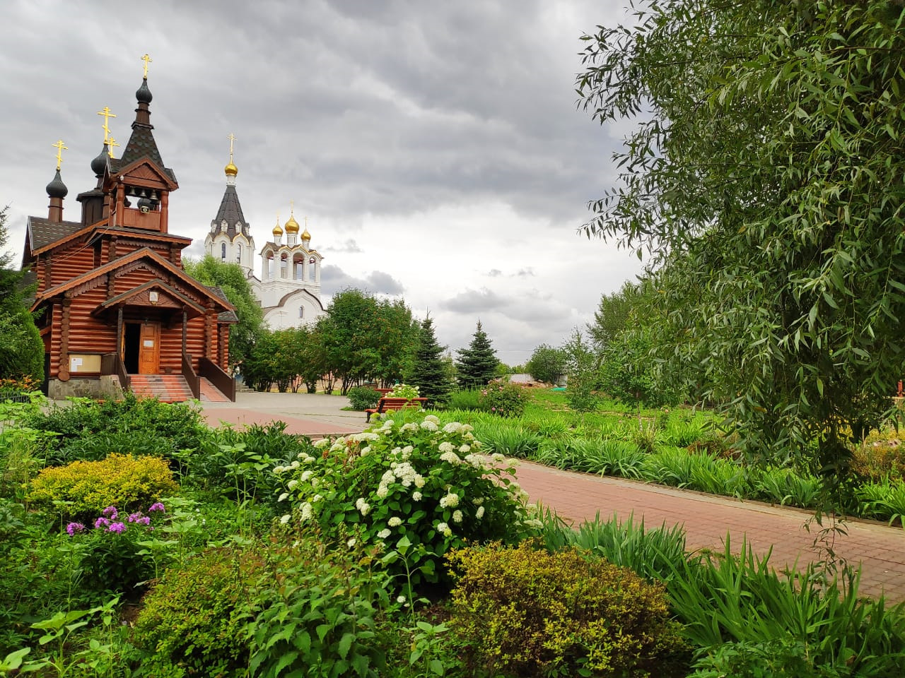 Митинский лесопарк фото