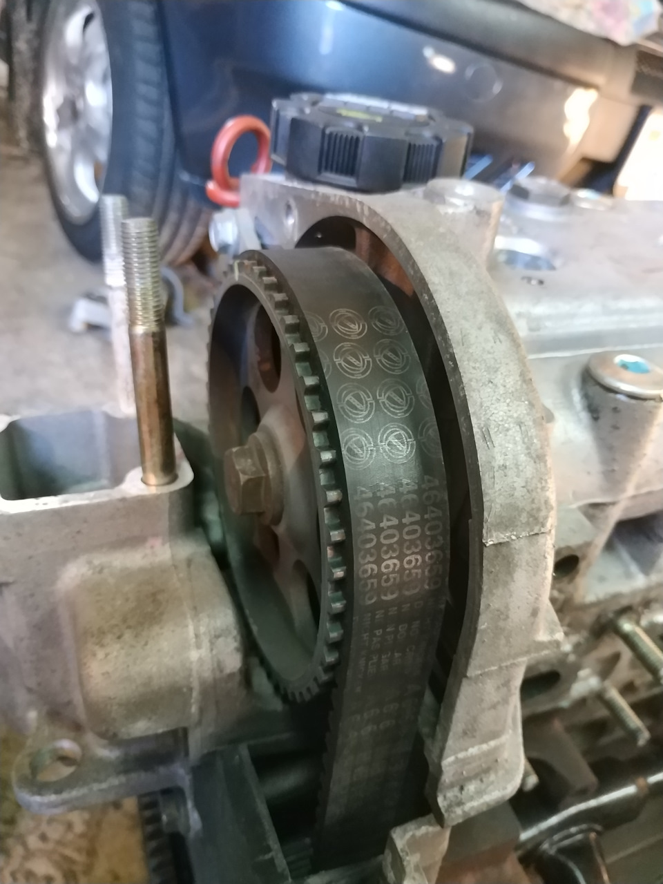 46403659 РЕМЕНЬ ГРМ ЧЗ 124 FIAT ALFA LANCIA | Запчасти на DRIVE2