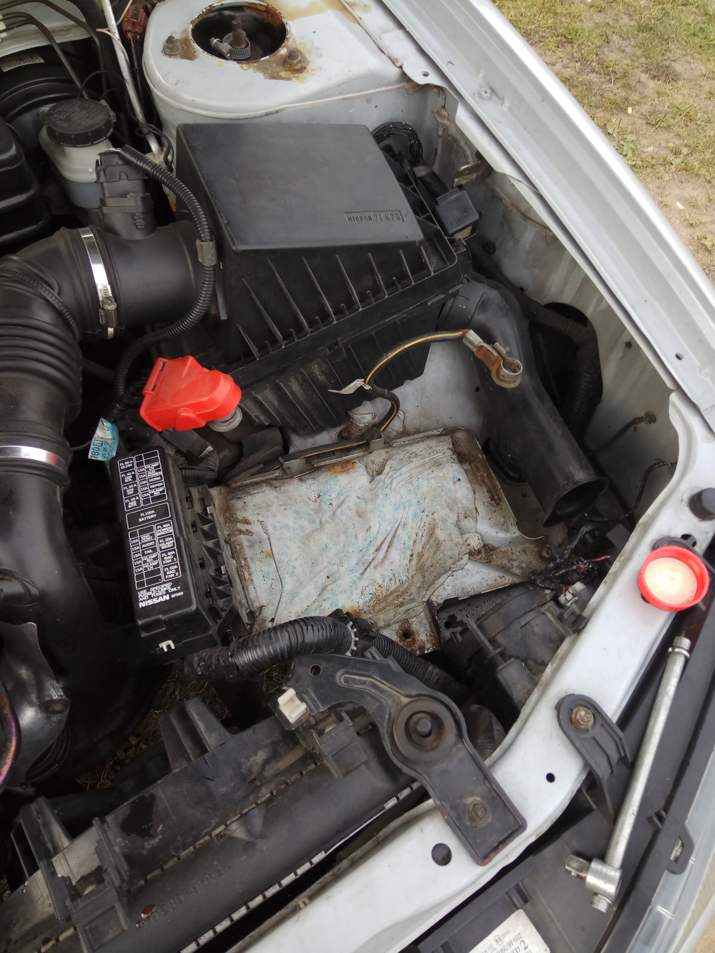 Оригинальный антифриз - Nissan X-Trail II (t31), 2 л, 2012 года плановое ТО DRIV