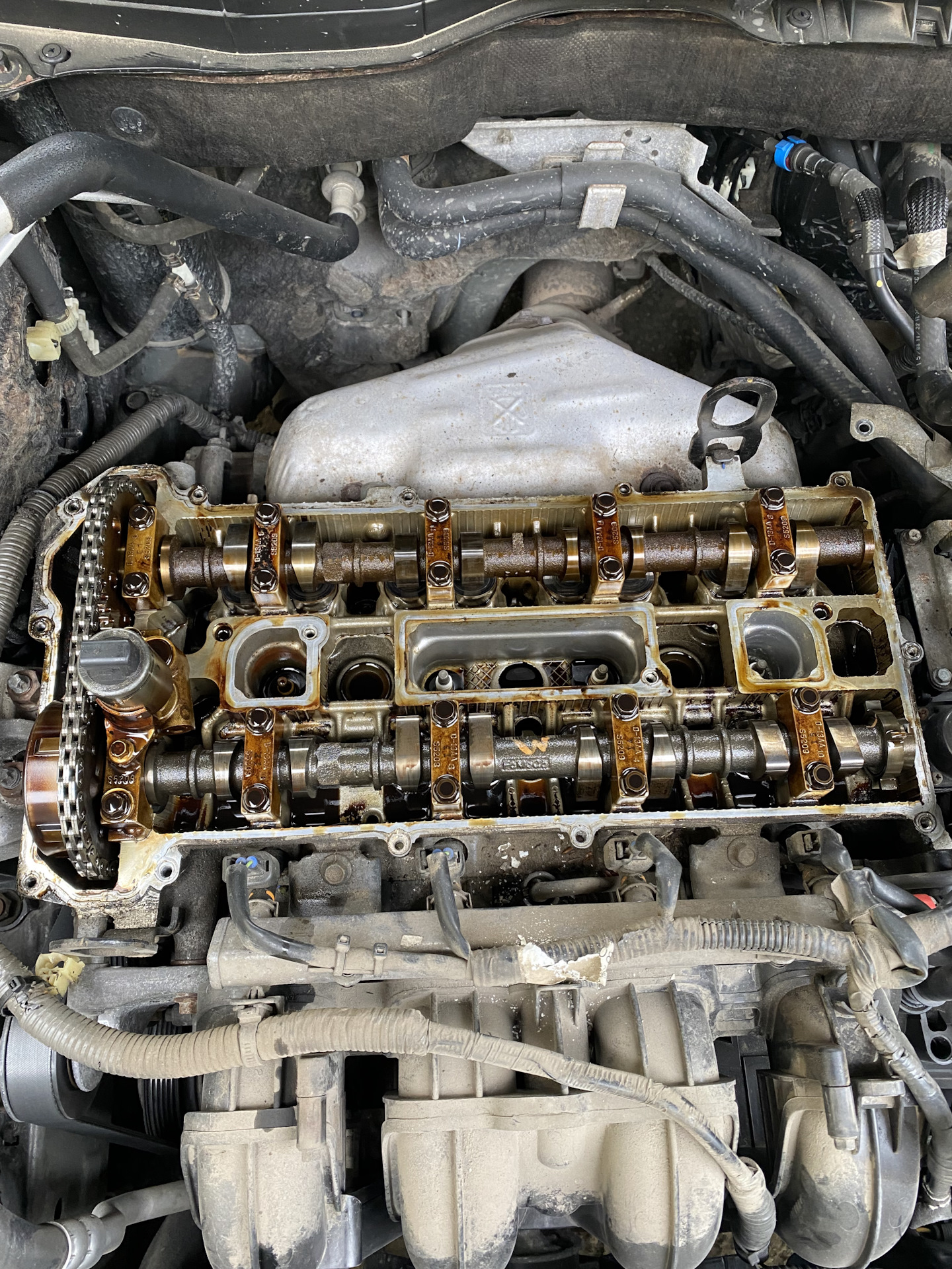 Замена прокладки клапанной крышки. — Mazda 6 (2G) GH, 2 л, 2008 года ...