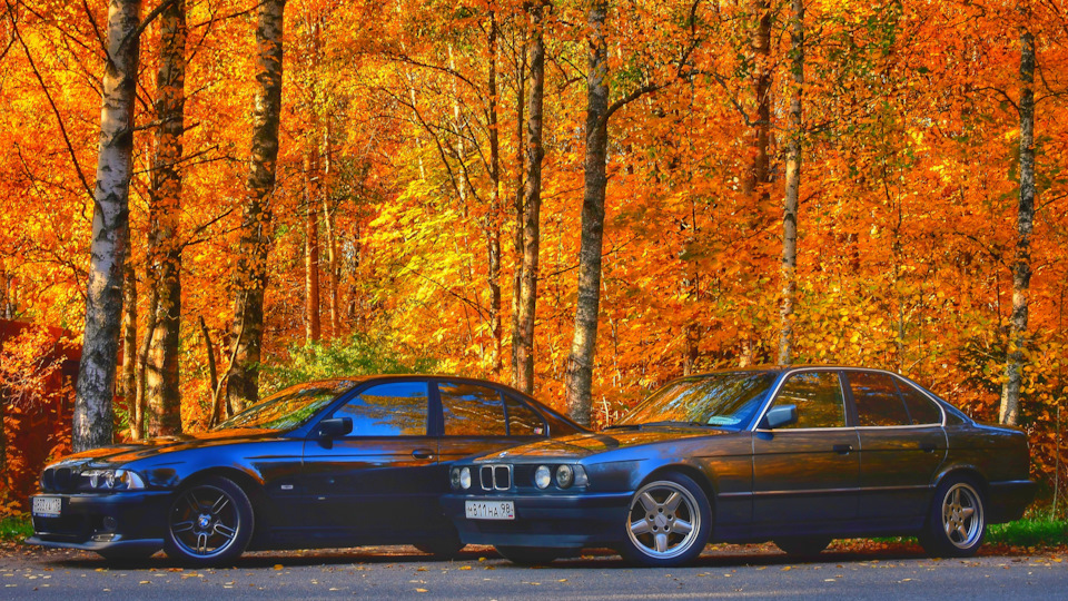 BMW 5 series "Малышка"