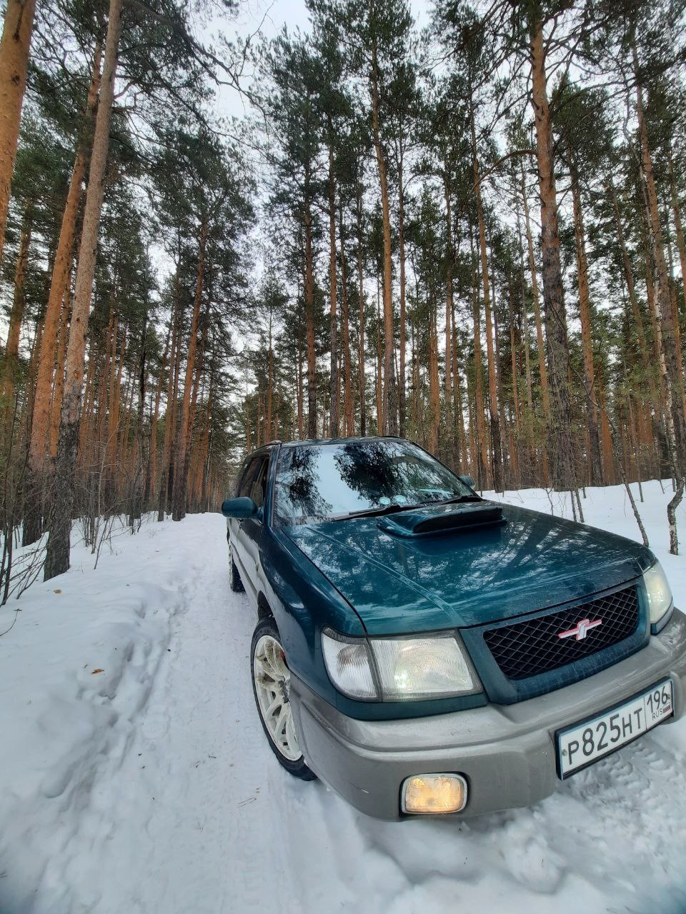 Плёнка? Требуется помощь-консультация🤫 — Subaru Forester (SF), 2 л, 1997  года | просто так | DRIVE2