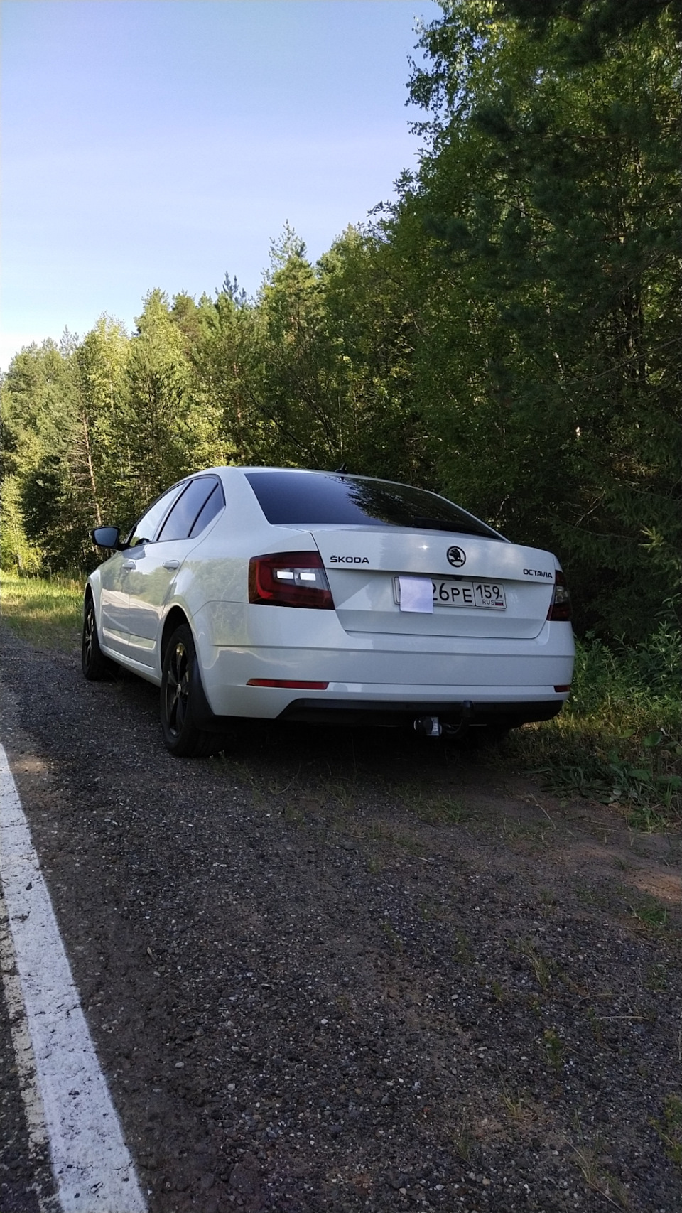 Расход топлива Cwva. Удмуртия! — Skoda Octavia A7 Mk3, 1,6 л, 2018 года |  просто так | DRIVE2