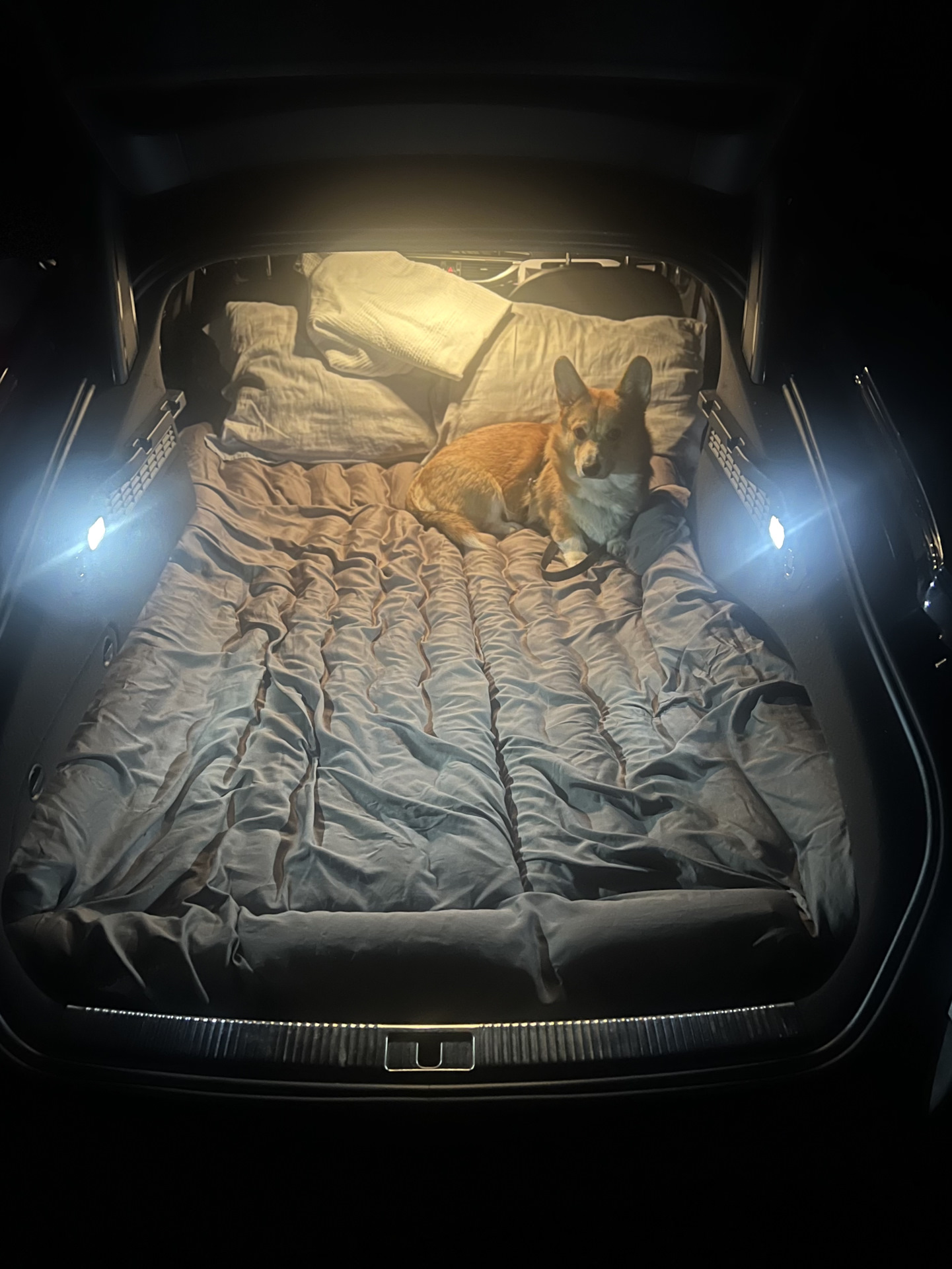 Багажник а7 вместо палатки. — Audi A7 Sportback (1G), 2 л, 2016 года ...