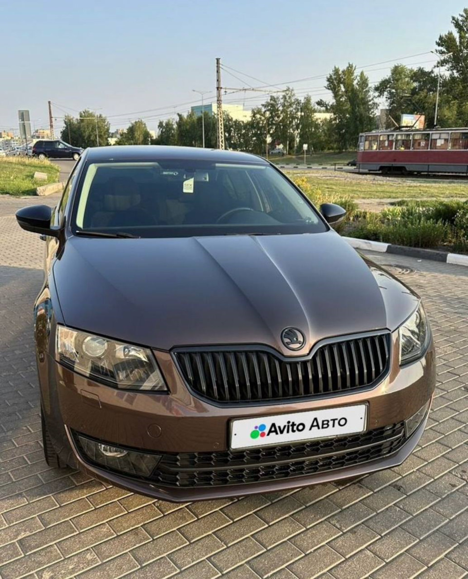 Фото в бортжурнале Skoda Octavia A7 Mk3