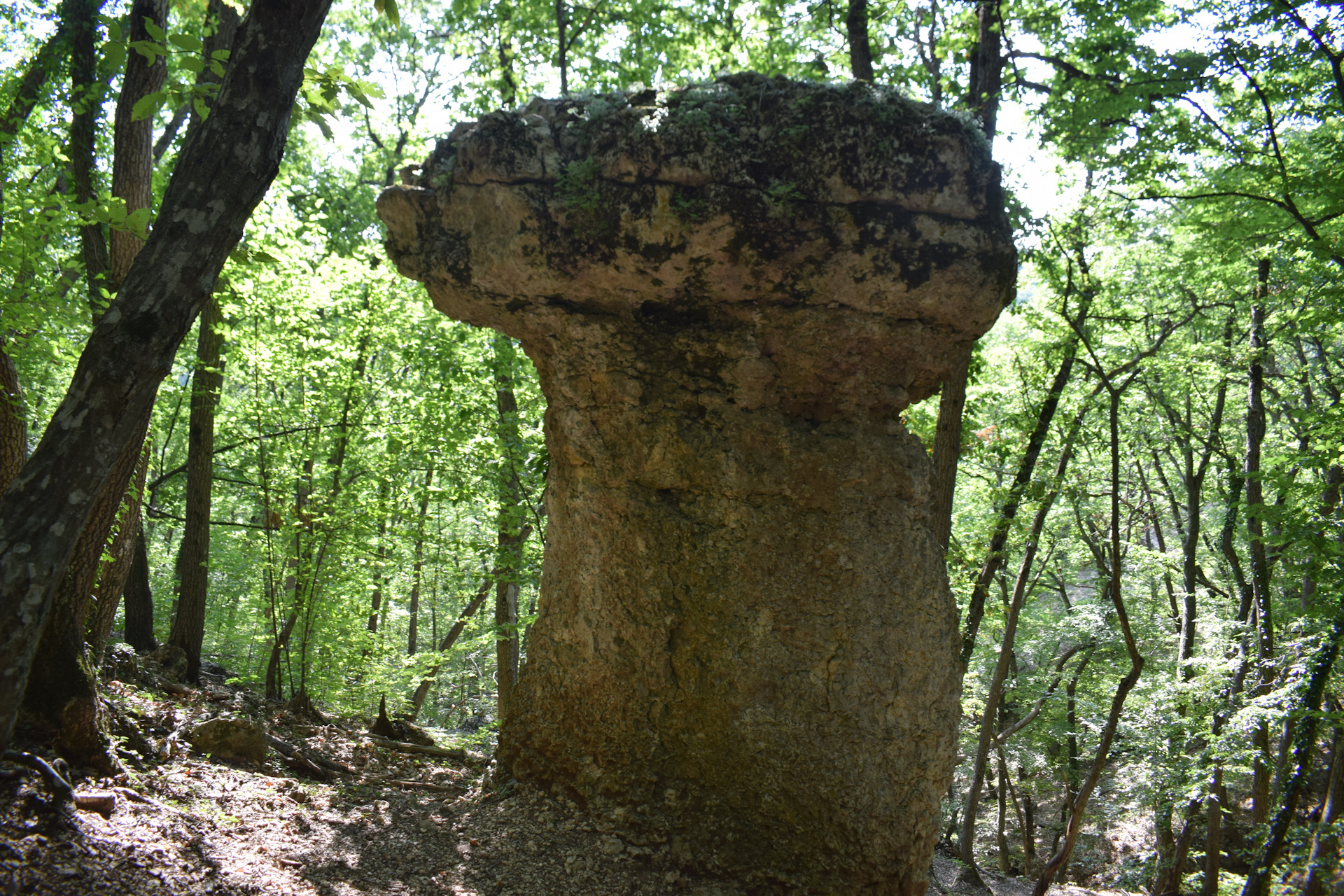 Каменные грибы Алушта
