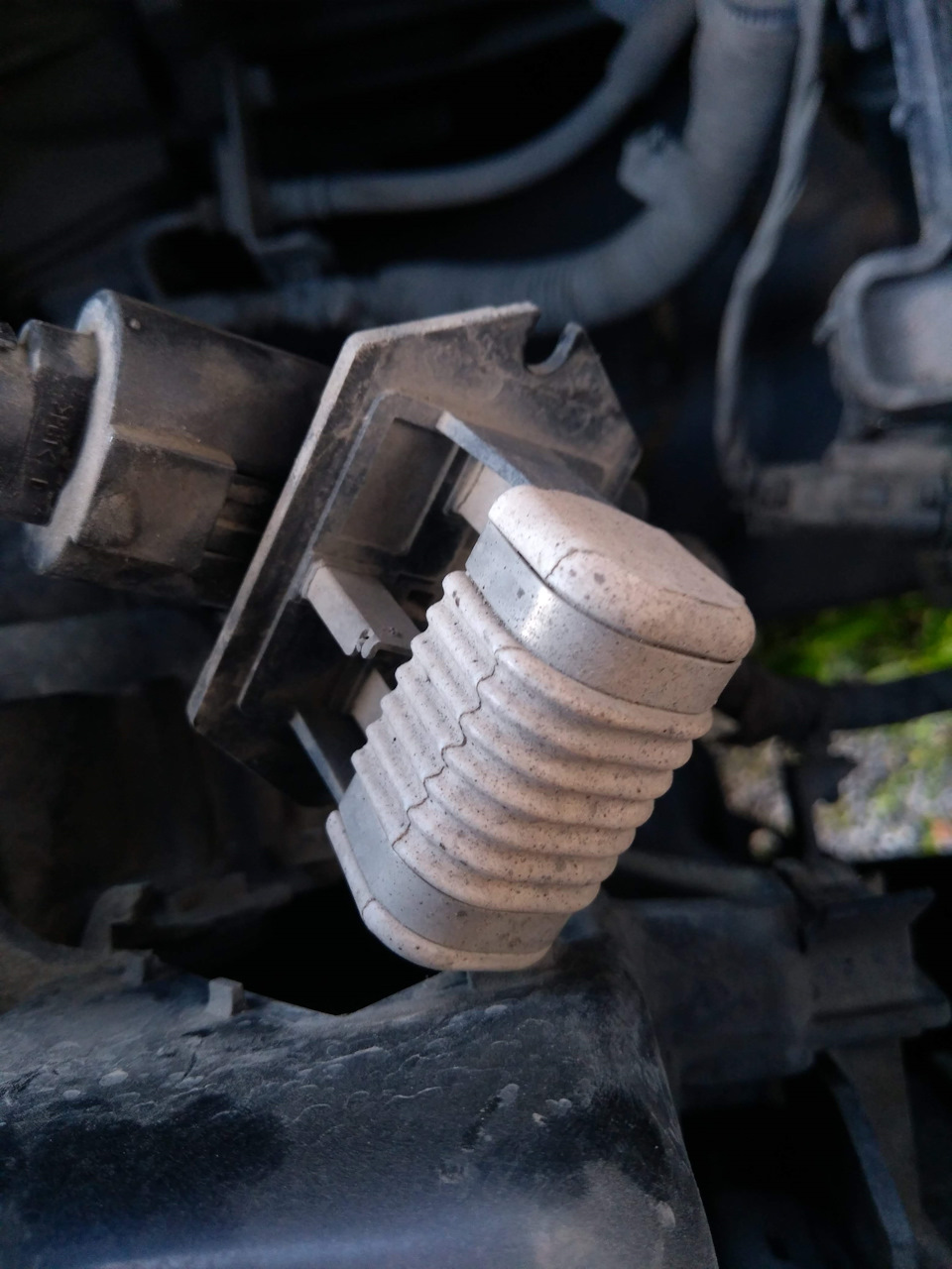 Фото в бортжурнале KIA Ceed SW (1G)