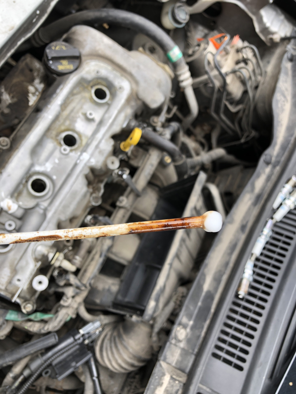 Расход топлива, замена свечей и все такое — Suzuki Swift (2G), 1,5 л ...