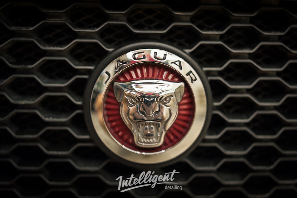 Jaguar XE — полировка и жидкое стекло — intelligentdetailing на DRIVE2