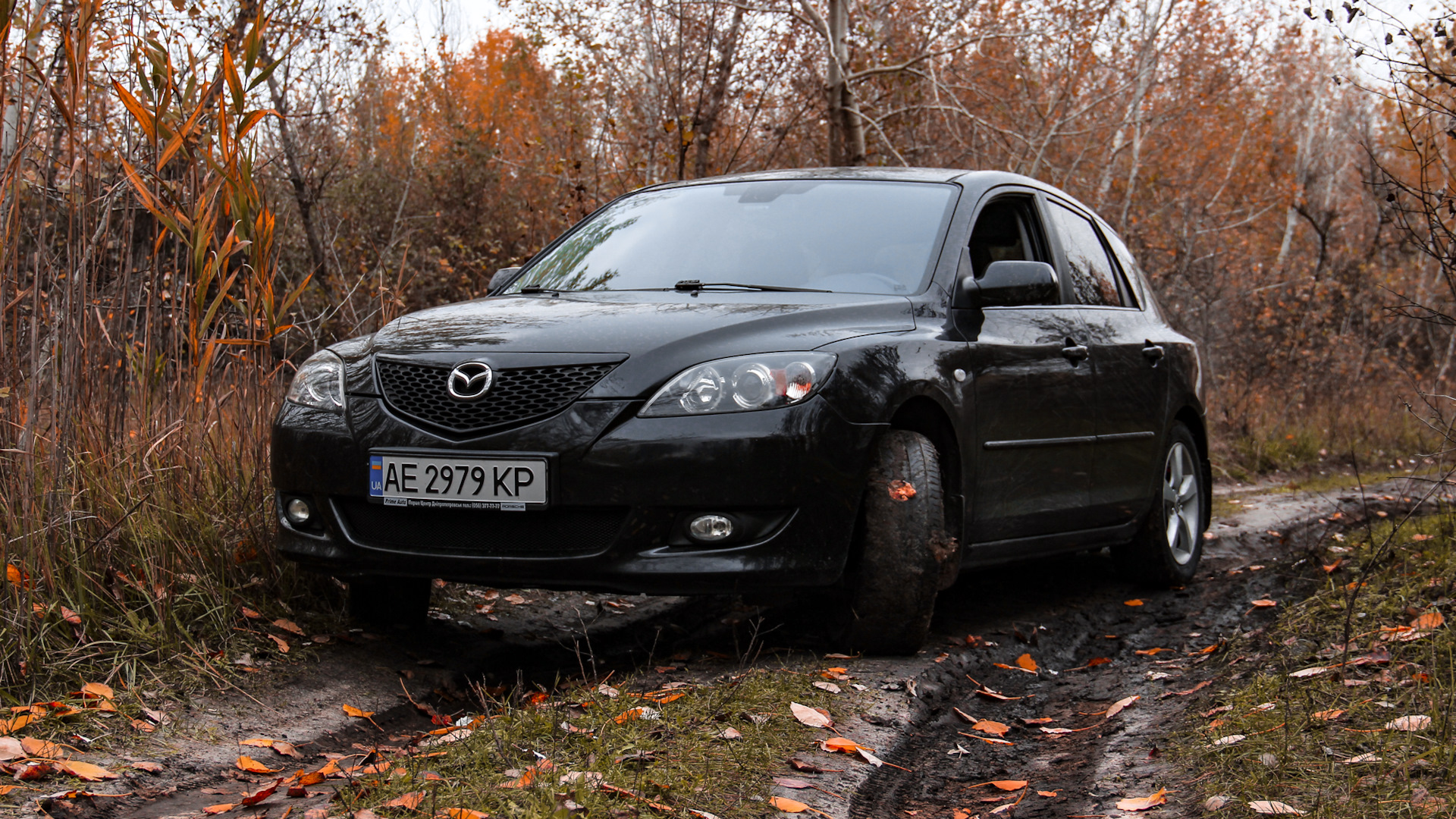 Mazda 3 (1G) BK 1.6 бензиновый 2006 | BLACK WING на DRIVE2