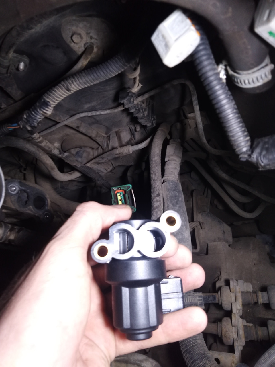 Фото в бортжурнале Hyundai Sonata IV (EF)