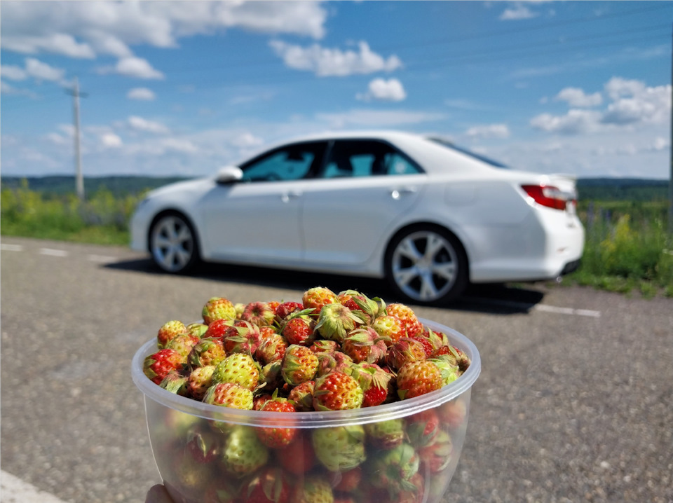 215. Тойоте – тойотово или замена масла у ОД Новокузнецк — Toyota Camry ...