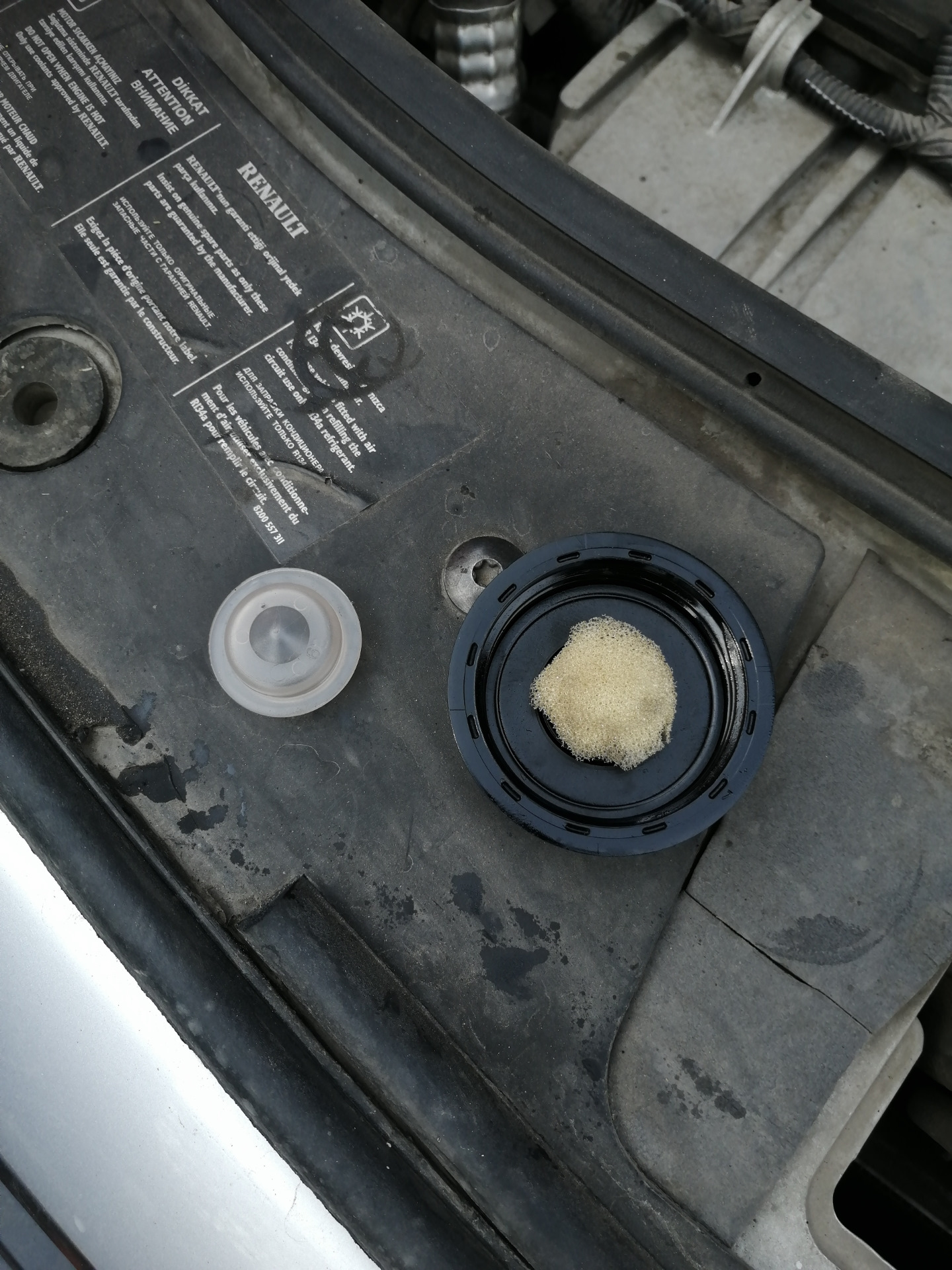 Подменил жидкость в гуре, Рено Сандеро. — Renault Sandero 1G, 1,6 л ...