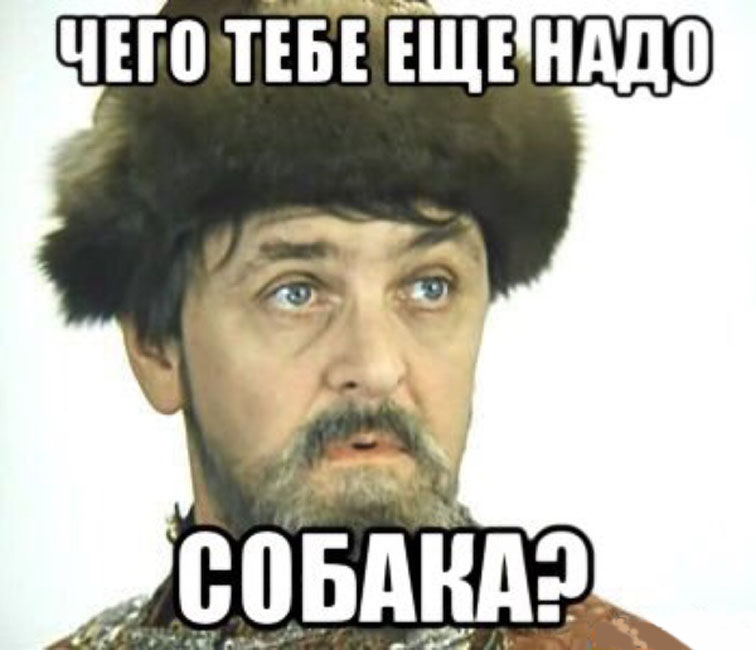 Ну вот он что. Чеготебеещёнадо собака. Чего тебе надо собака. Чего тебе еще надо собака.