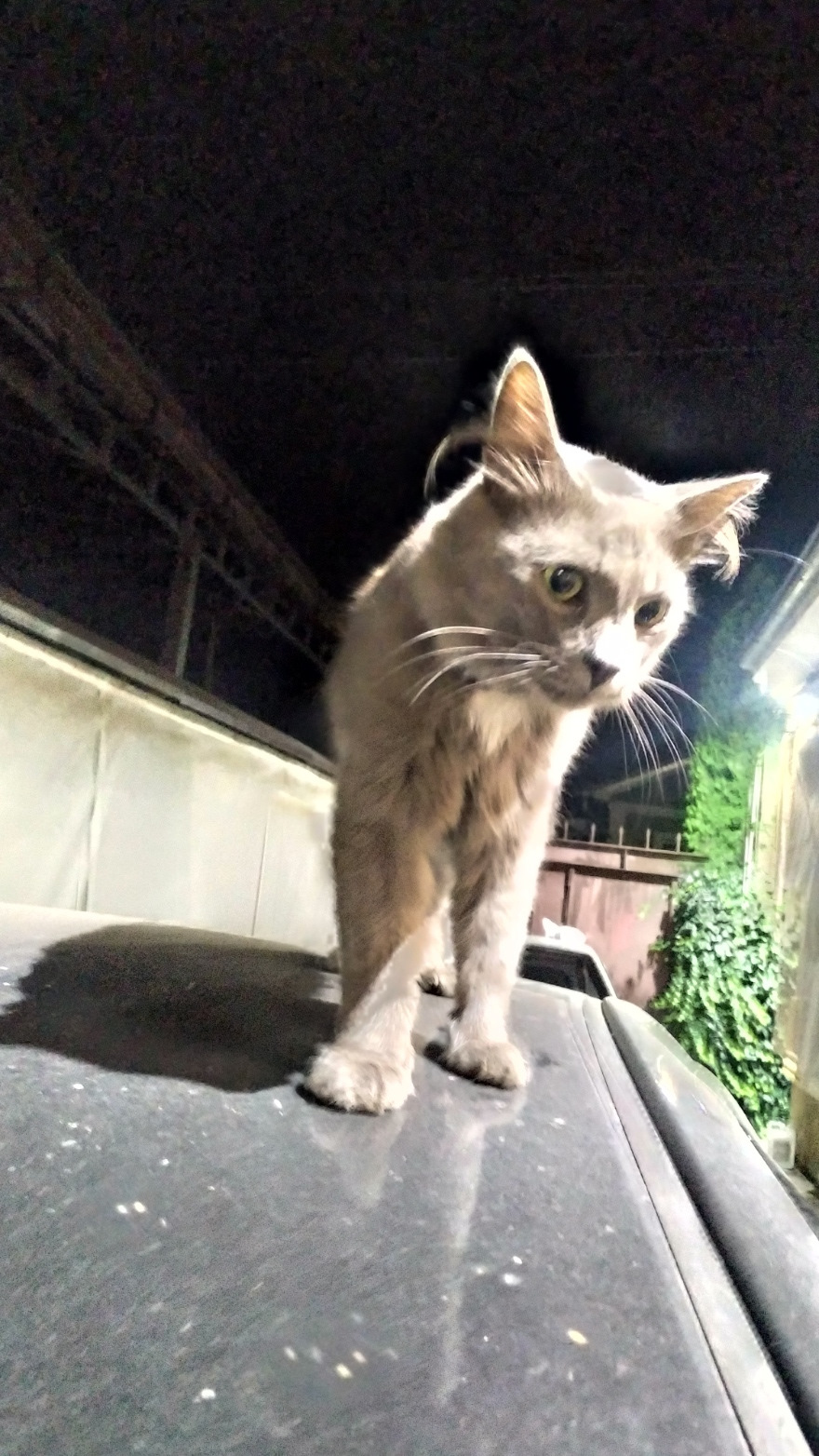 Фото в бортжурнале Toyota Camry (XV30)