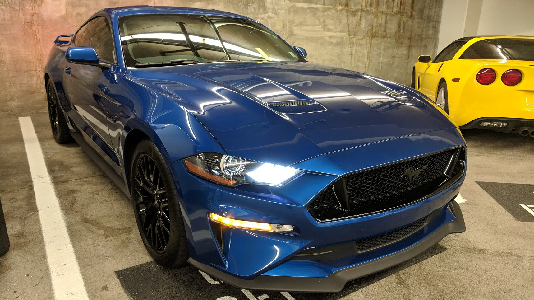 06 Mustang Ford gt