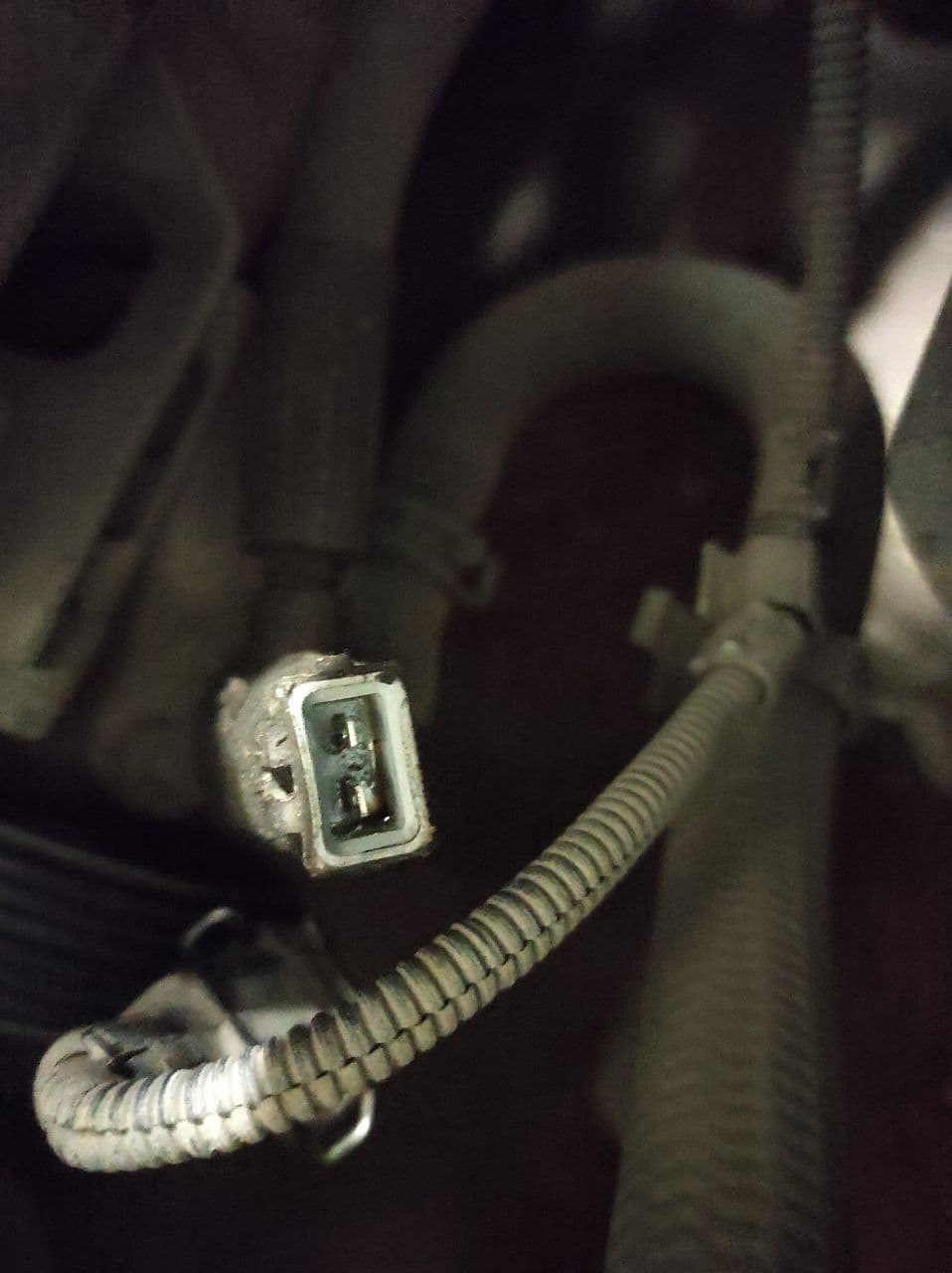 Фото в бортжурнале Volkswagen Golf Mk4