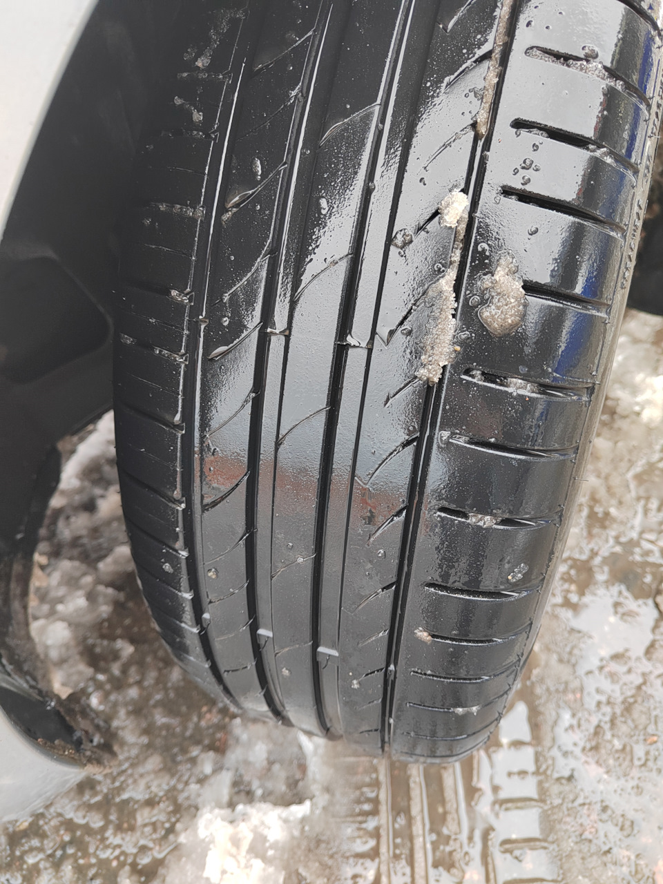Фото в бортжурнале Skoda Octavia Combi A7 Mk3