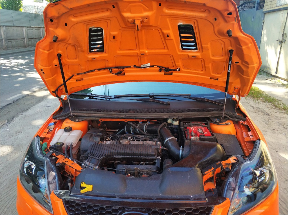 АКЦИЯ! Газовые упоры капота Ford Focus 2 на Ford Focus II Hatchback ...