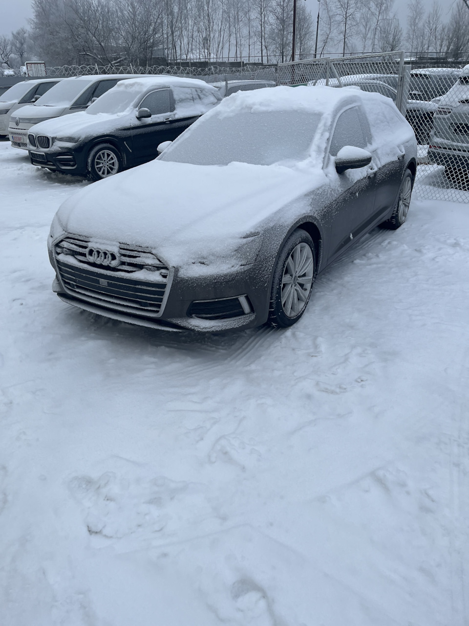 Таможня, Лаборатория, ЭПТС, ГаИ (Часть 3) — Audi A6 Avant (C8), 3 л, 2018  года | покупка машины | DRIVE2