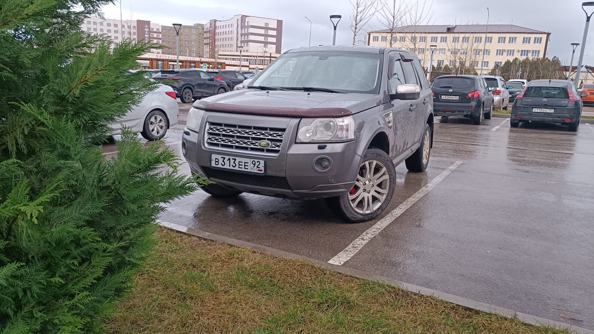 Land Rover Freelander 2 2.2 дизельный 2009 | Серый 2.2d на DRIVE2