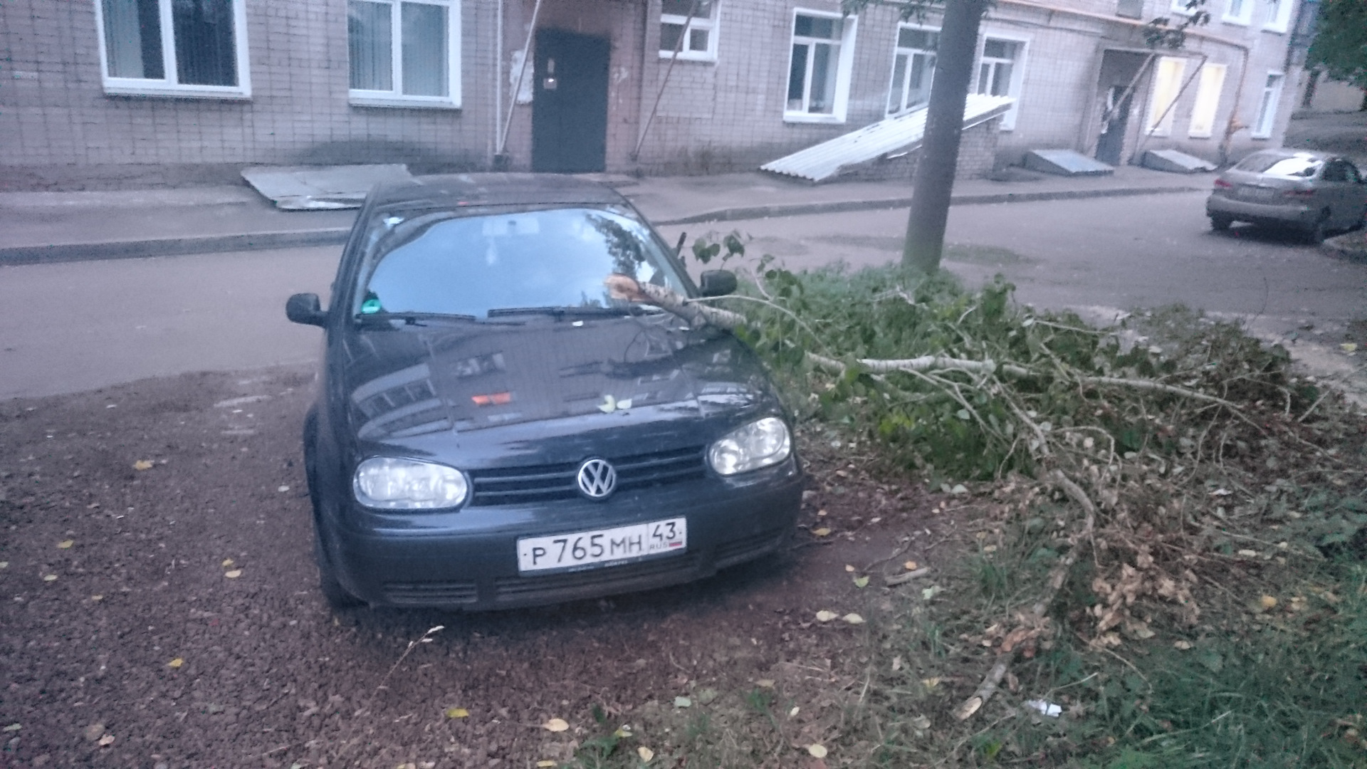 На машину упала ветка дерева во дворе — Volkswagen Golf Mk4, 1,4 л, 2002  года | ДТП | DRIVE2