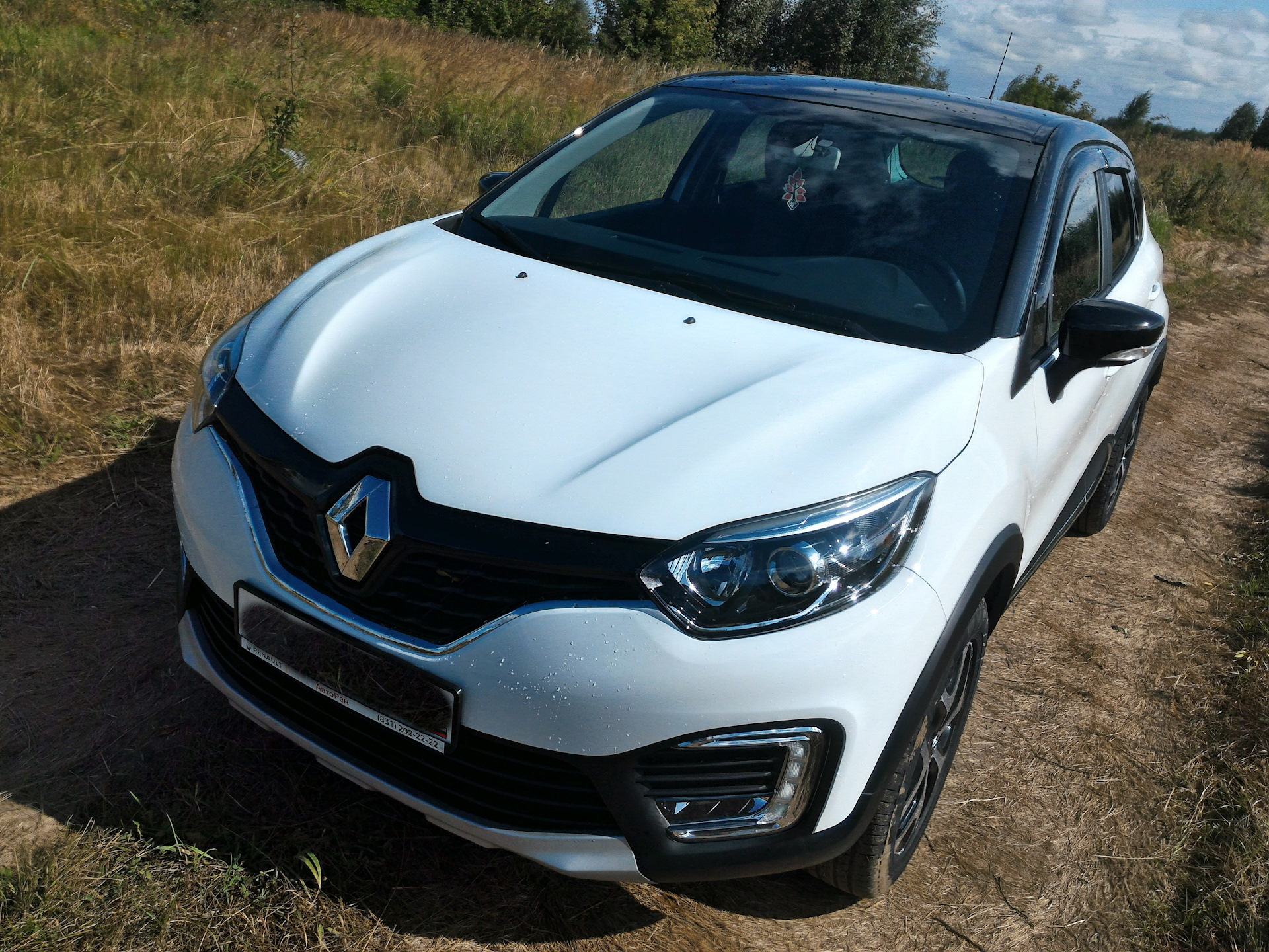 Renault отзывы владельцев