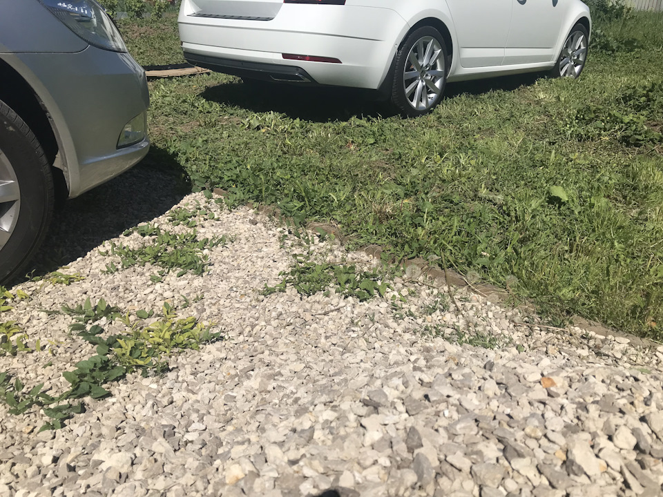 Имитация выхлопа — Skoda Octavia A7 Mk3, 1,8 л, 2017 года | стайлинг ...