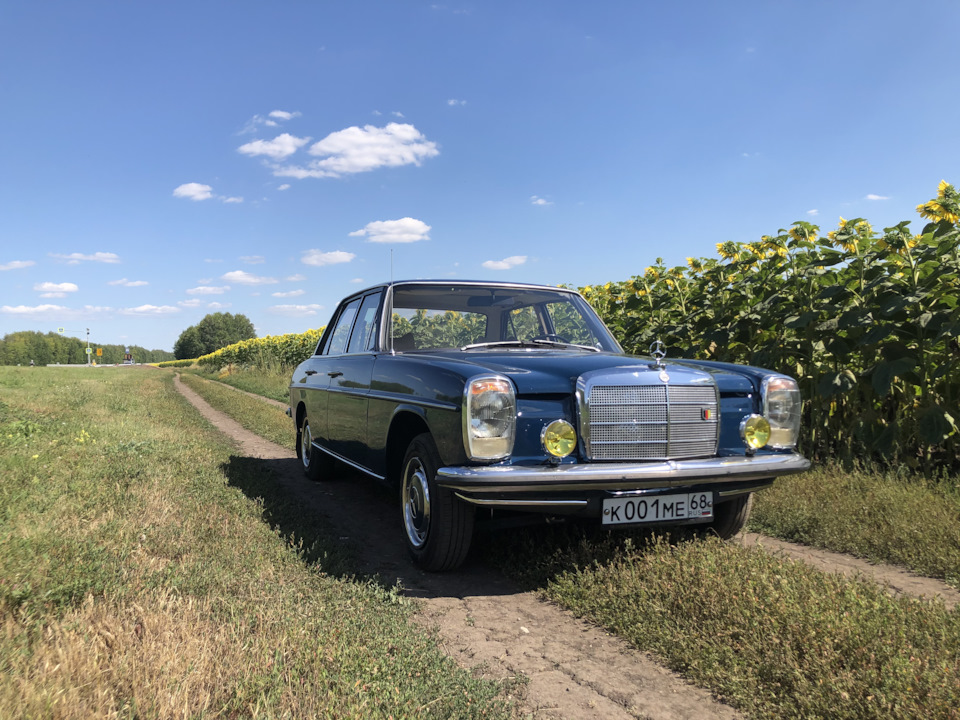 Мерседес W115 на природе — Mercedes-Benz W115, 2,2 л, 1973 года ...