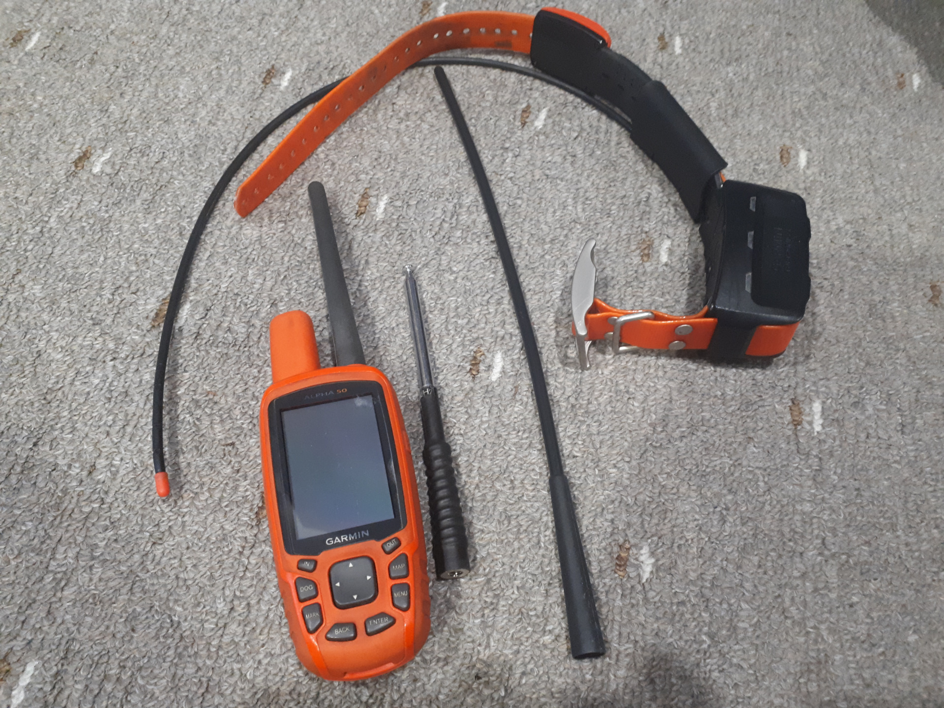 Ошейник garmin alpha 50. Навигатор Garmin Alpha 50 с ошейником t5.