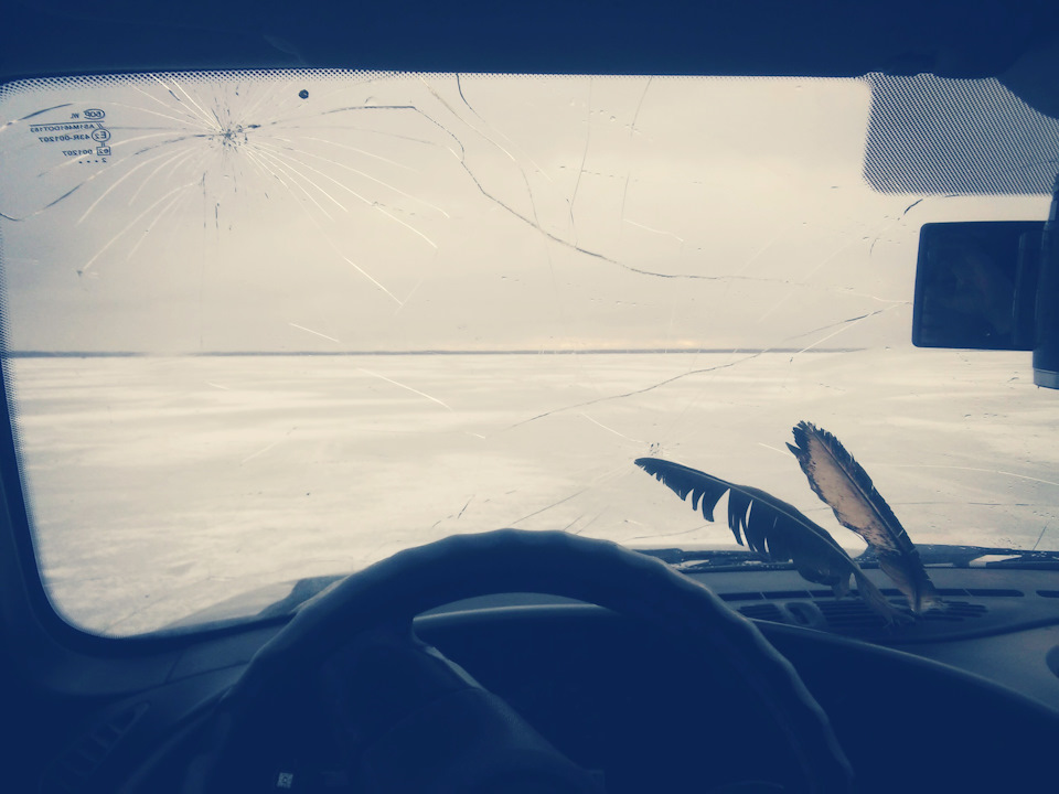 Фото в бортжурнале Chevrolet Niva (1G)