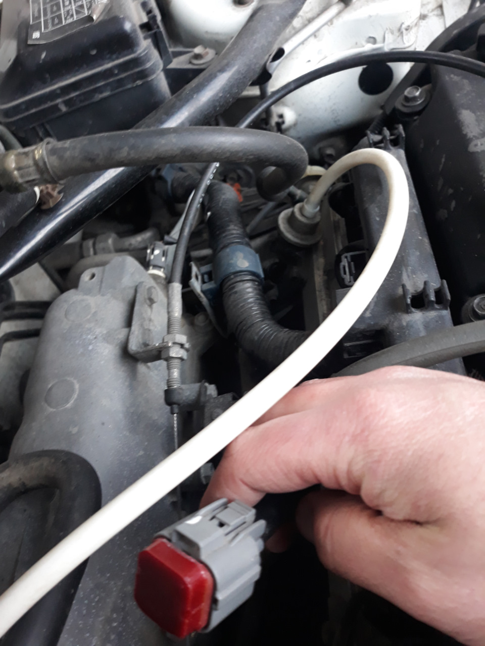 электронная обманка для клапана егр эмулятор от Vasylka — Honda Torneo ...