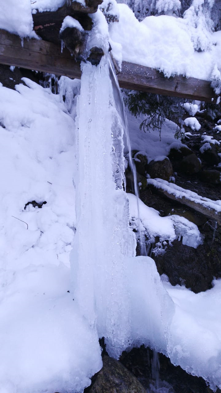 тишина Гремячего ключа — Renault Koleos (2G)