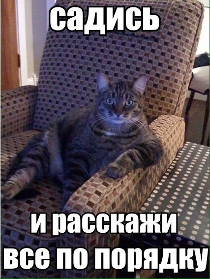 Ну давай мем кот