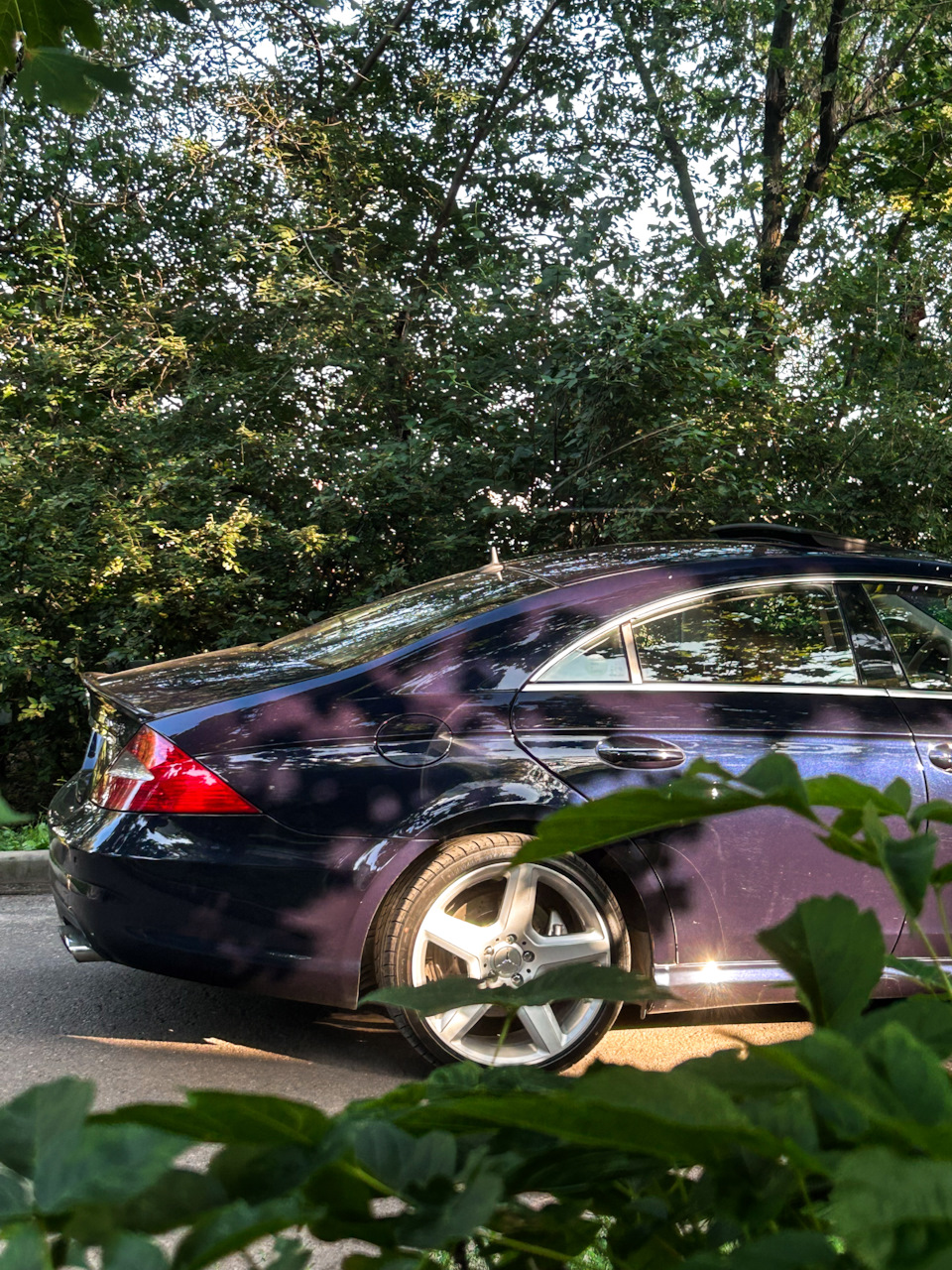 Фото в бортжурнале Mercedes-Benz CLS 55 AMG (C219)