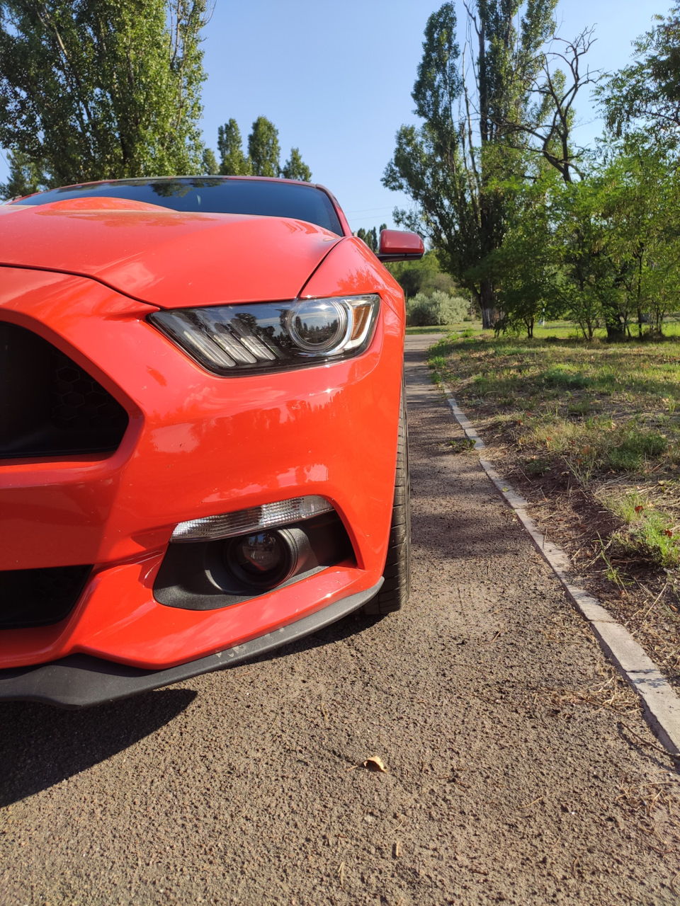 Фото в бортжурнале Ford Mustang (6G)