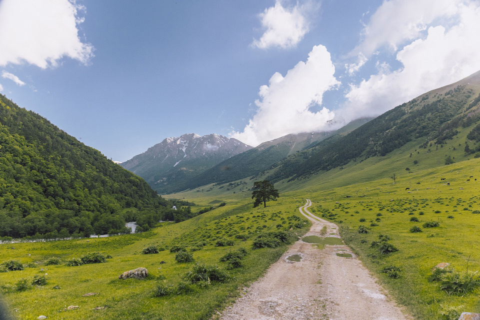 Река маруха карачаево черкессия что означает название. FvL22cHWDcLvJNdLTD wqIprwUI 960. Река маруха карачаево черкессия что означает название фото. Река маруха карачаево черкессия что означает название-FvL22cHWDcLvJNdLTD wqIprwUI 960. картинка Река маруха карачаево черкессия что означает название. картинка FvL22cHWDcLvJNdLTD wqIprwUI 960. Река Маруха протекает по территории туристического района Архыза в Карачаево-Черкесской республике. Река маруха карачаево черкессия что означает название. FvL22cHWDcLvJNdLTD wqIprwUI 960. Река маруха карачаево черкессия что означает название фото. Река маруха карачаево черкессия что означает название-FvL22cHWDcLvJNdLTD wqIprwUI 960. картинка Река маруха карачаево черкессия что означает название. картинка FvL22cHWDcLvJNdLTD wqIprwUI 960. Река Маруха протекает по территории туристического района Архыза в Карачаево-Черкесской республике.