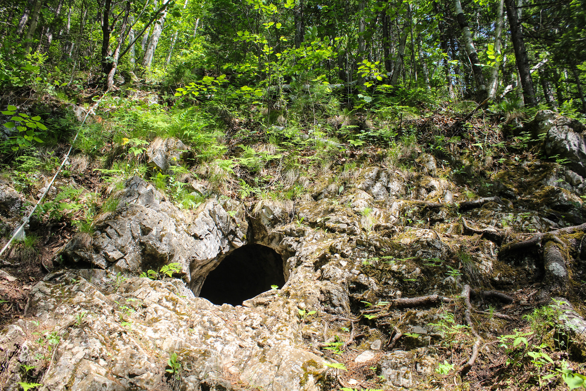 Пещера кабарга Приморский край