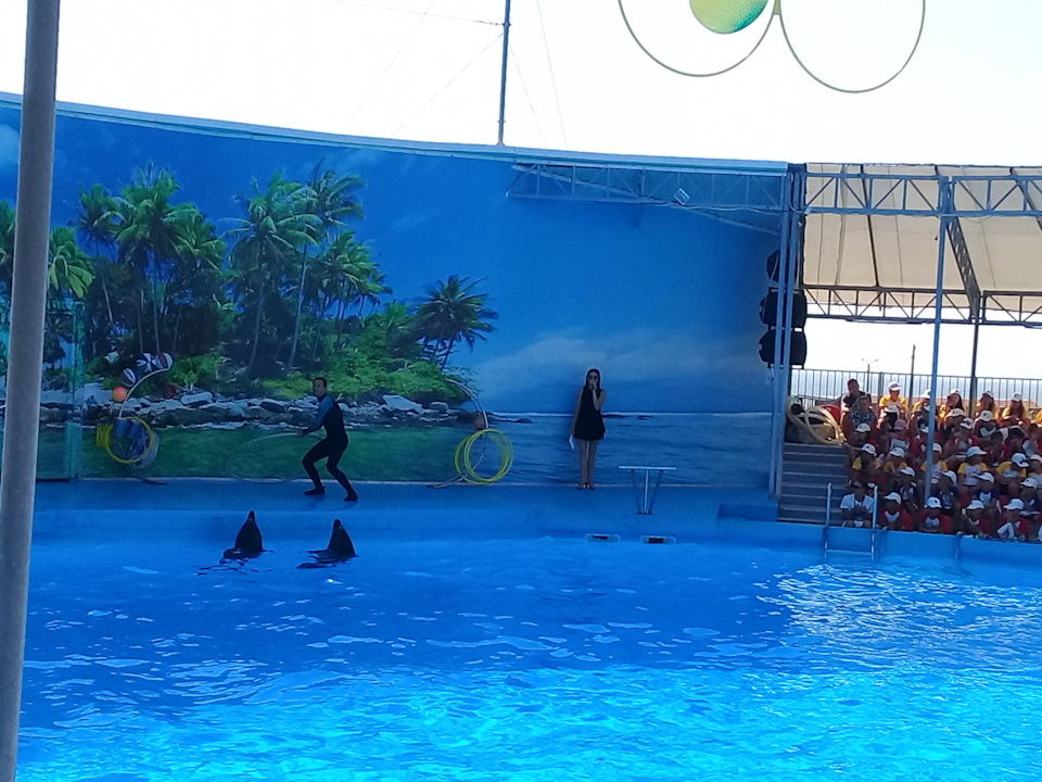 Фото в бортжурнале Chevrolet Aveo Sedan (1G)