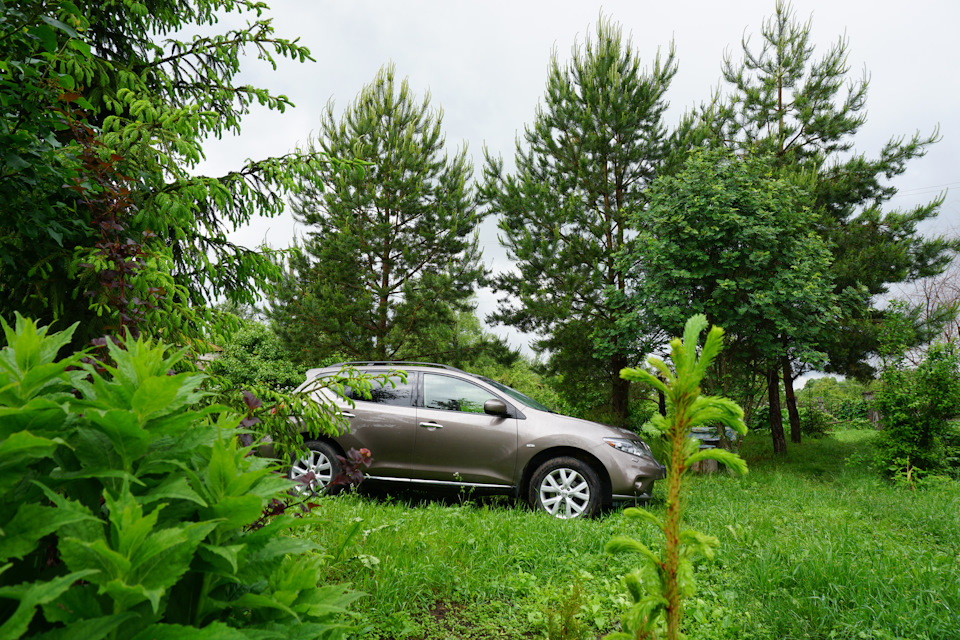 Фото в бортжурнале Nissan Murano II