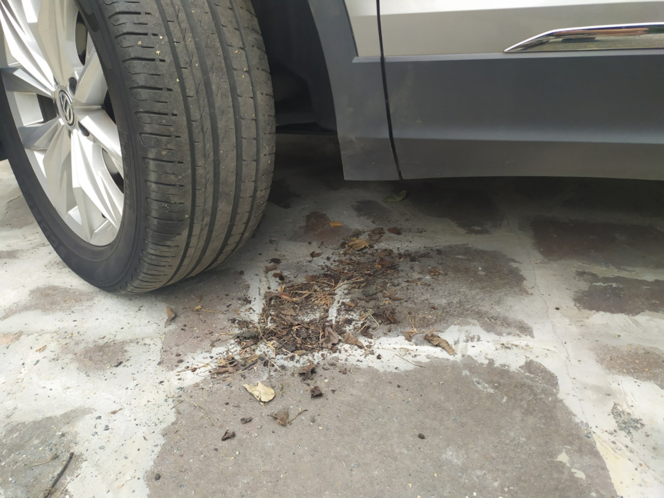 Разгрёб гербарий (под передними подкрылками) — Volkswagen Tiguan (2G ...