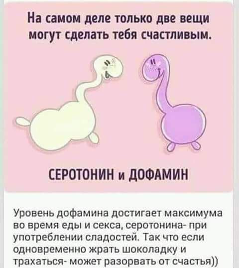 Чем заменить дешевый дофамин Ератишная солянка - DRIVE2