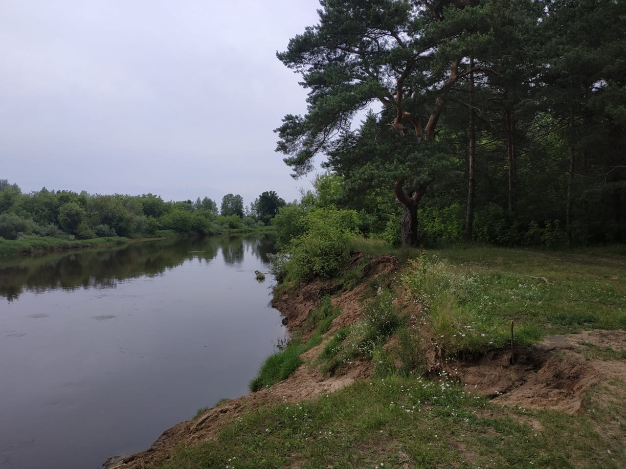 Парк в Костерево Владимирской