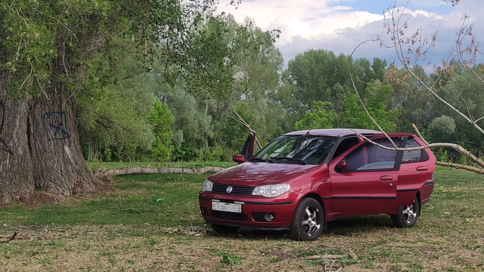 FIAT Albea 🇮🇹Porco Rosso🇮🇹